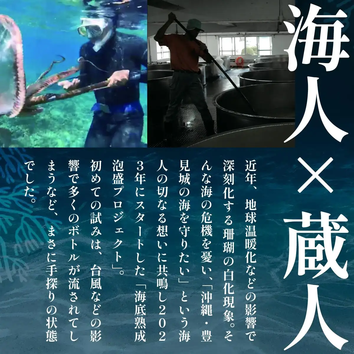 数量限定 『2026海底熟泡盛Tomigusuku Sango』43度 720ml