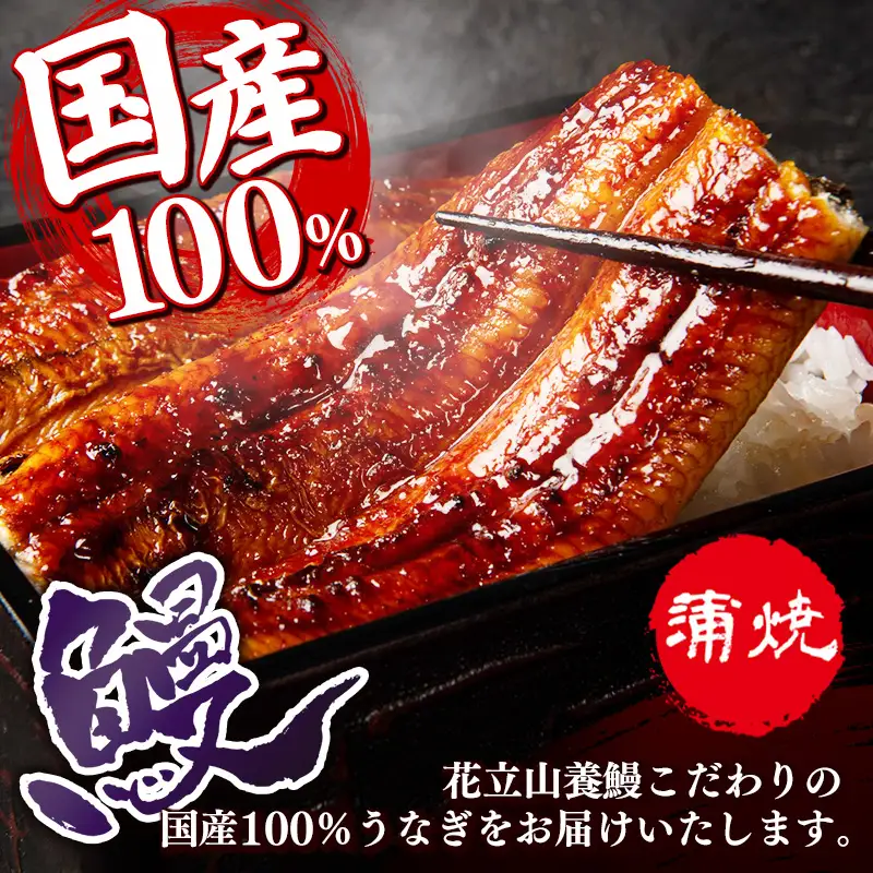 国産 うなぎ 蒲焼き（鹿児島県産） 2尾 (290〜310g) 【国産100％ 鰻 ウナギ 蒲焼 土用丑の日 丑の日 冷凍 魚介 海鮮 おかず お祝い ご褒美 贅沢 おすすめ 人気 花立山養鰻 福岡県 筑前町 HY001】