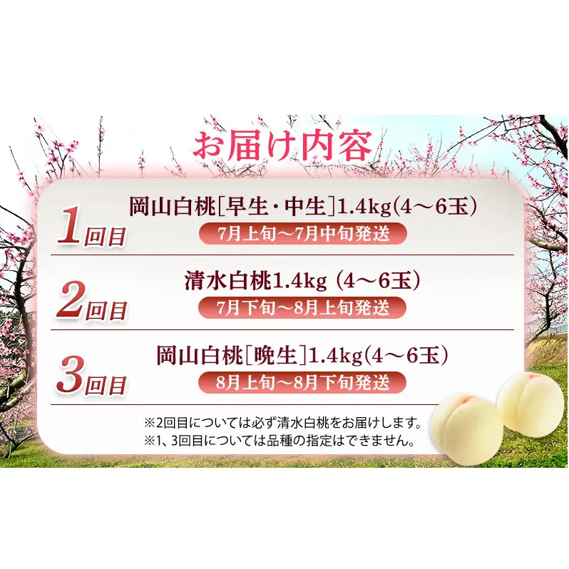 2026年 先行予約 ご家庭用 清水白桃 岡山白桃 食べ比べ定期便 1.4kg(4～6玉) もも モモ 岡山県 国産 フルーツ 果物