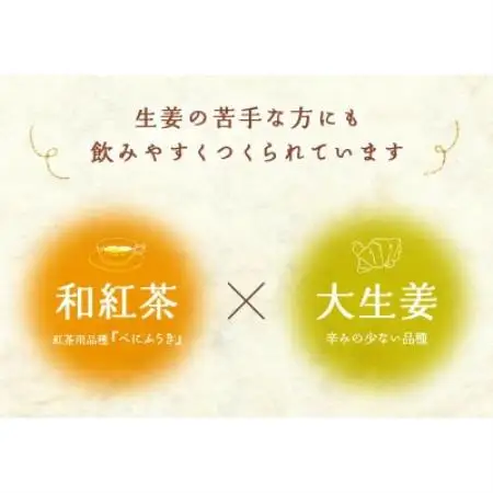 優しいしょうが和紅茶(ジンジャーティ) ティーバッグ2g・13包入×4袋 静岡県掛川産【配送不可地域：離島・沖縄県】【1737364】