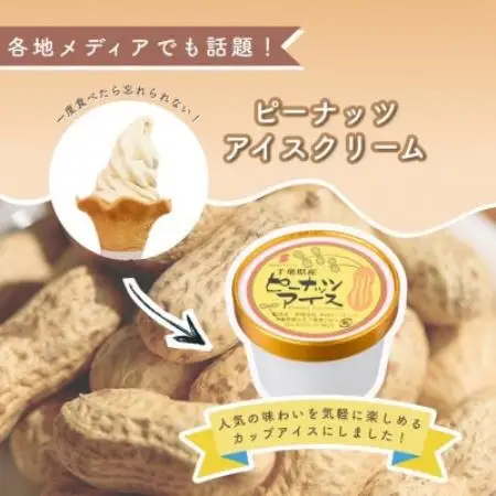 木村ピーナッツの濃厚ピーナッツアイス(12個)【配送不可地域：離島】【1738426】