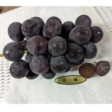 【種なし】巨峰2房+旬のぶどうの食べ比べ約2kgセット【配送不可地域：離島】【1724199】