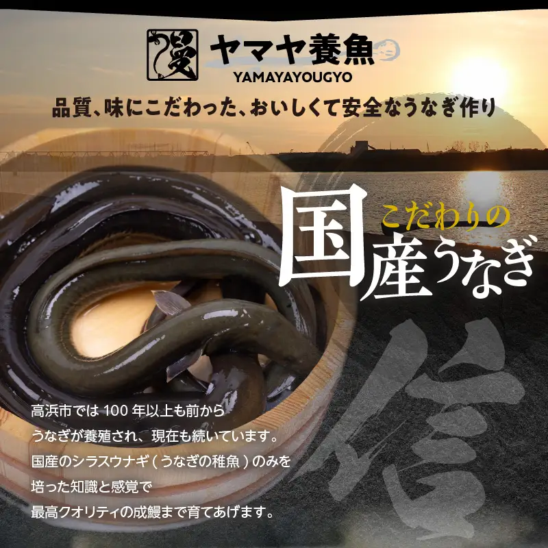 【定期便12ヶ月】三河高浜産三代目養鰻家の白焼きうなぎ 特大2尾_74-520