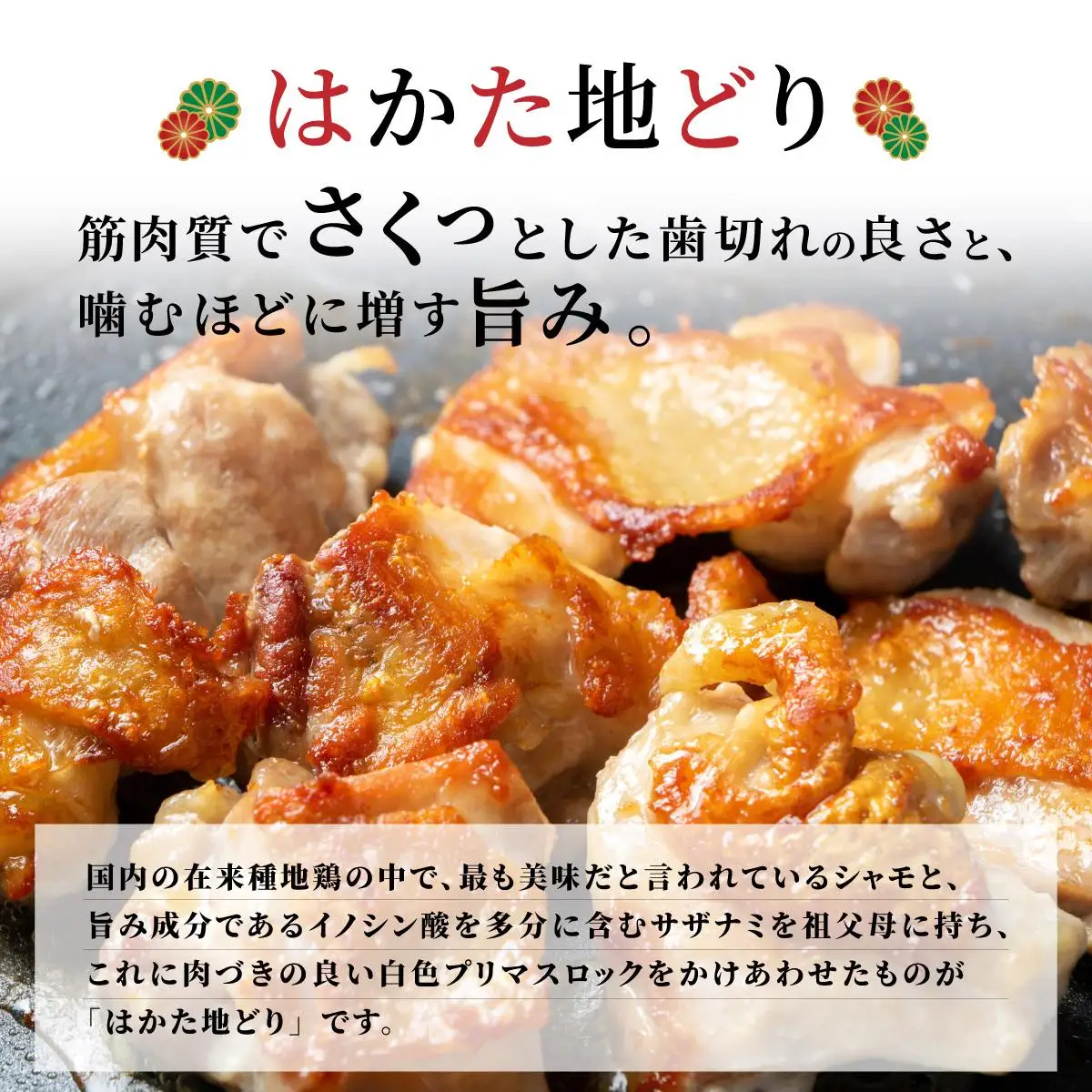 【ふるさと納税】《順次発送》はかた地どりもも肉切り身（200ｇ×5）1kg|博多 地鶏 鶏肉 ブランド鶏 冷凍 とり肉 鳥肉 もも肉 モモ 切り身 1kg CV002