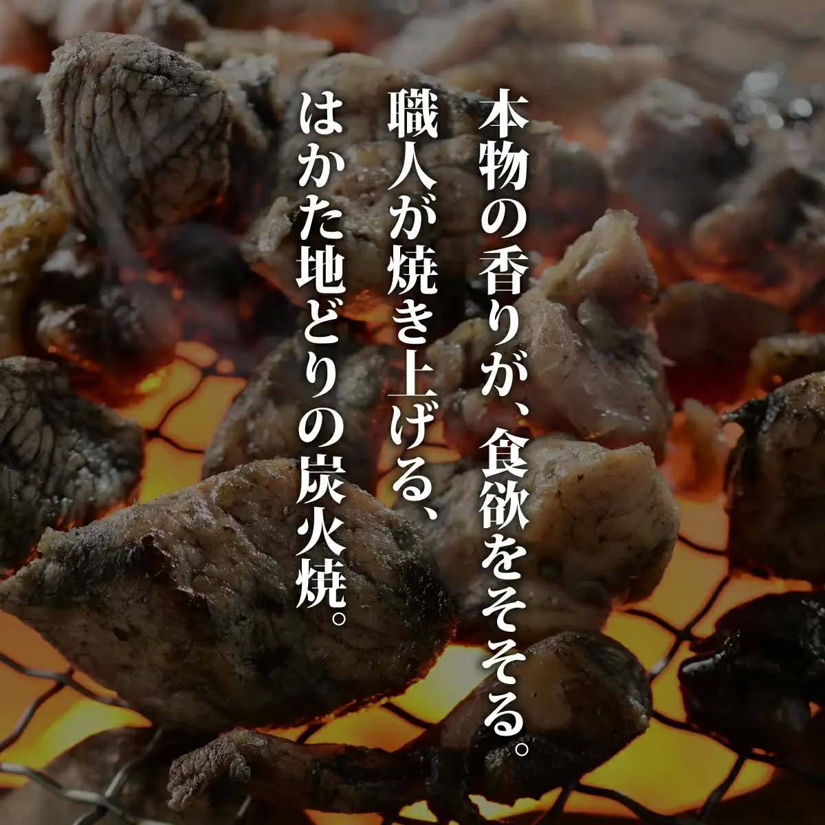 【ふるさと納税】《順次発送》はかた地どり炭火焼きセット 5袋|博多 地鶏 鶏肉 ブランド鶏 冷凍 とり肉 鳥肉 炭火焼き 地鶏炭火焼き 地どり CV013