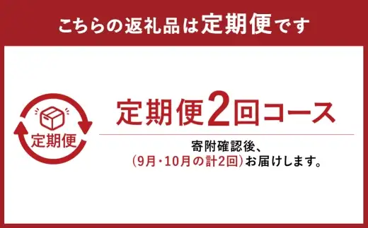 【 2回定期便 】 最高峰プレミアム 木熟ぶどう ハレノシャイン シャインマスカット 晴王 1房 約800g以上 赤秀品以上 岡山県船穂産 果物 くだもの 果実 フルーツ 果汁 ぶどう 葡萄 ブドウ マスカット 岡山県産 冷蔵 【 2026年9月上旬より発送開始予定 】