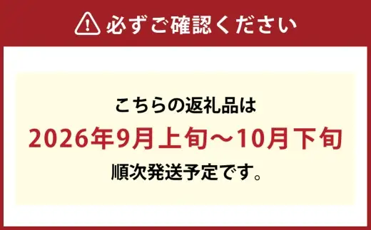 最高峰プレミアム 木熟ぶどう ハレノシャイン シャインマスカット 晴王 2房 合計約1.6kg以上 赤秀品以上 岡山県船穂産 果物 くだもの 果実 フルーツ 果汁 ぶどう 葡萄 ブドウ マスカット 皮ごと 岡山県産 冷蔵 【 2026年9月上旬～10月下旬発送予定 】