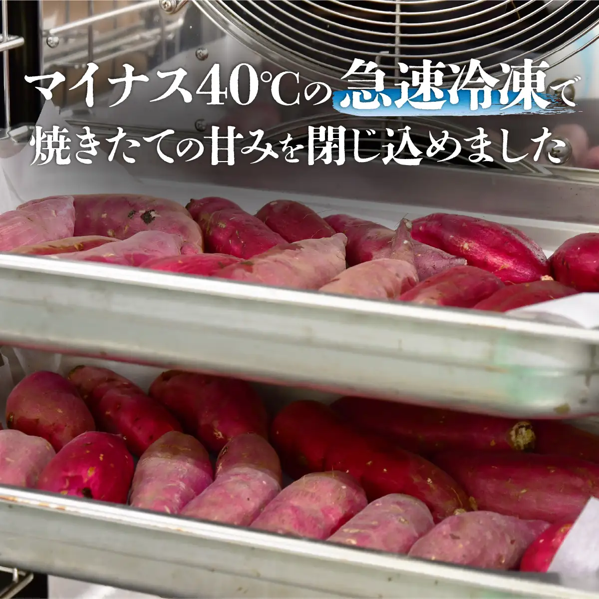 【訳あり】紅はるか 冷凍 焼き芋 約1.5kg