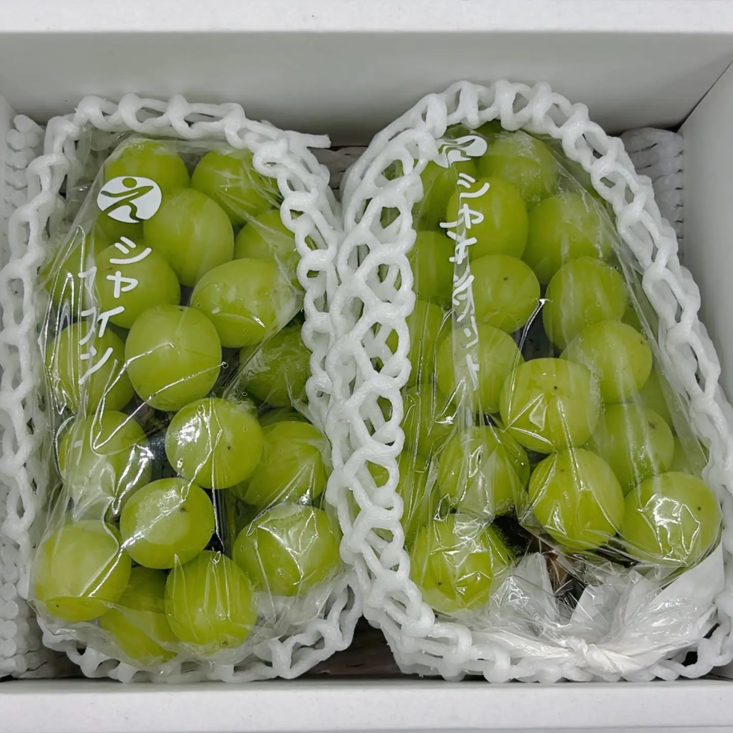 【全3回】食べきり 旬のフルーツ定期便 まつやま農林水産物ブランド | フジ・アグリフーズ みかん 愛媛蜜柑 愛媛ミカン みかん ミカン mikan 蜜柑 柑橘 フルーツ 果物 シャインマスカット ぶどう 数量限定 人気 おすすめ 愛媛県 松山市 送料無料【FA121】