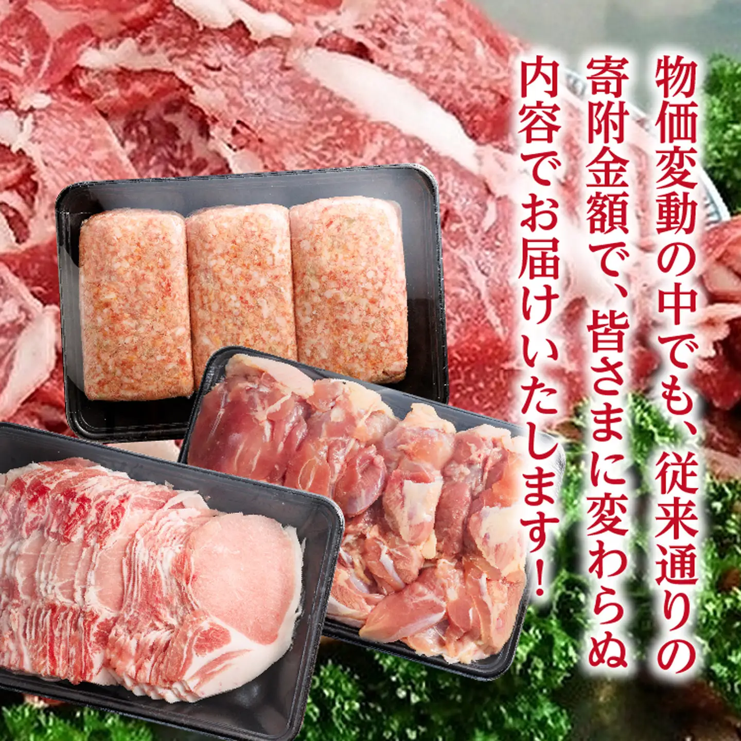 【定期便 6回】佐賀県産 バラエティーMeat定期便 | 肥前さくらポーク 豚ロースしょうが焼き用 骨太有明鶏のモモ肉 佐賀牛切り落とし ハンバーグ 豚ロースとんかつ トンテキ用 _k-4