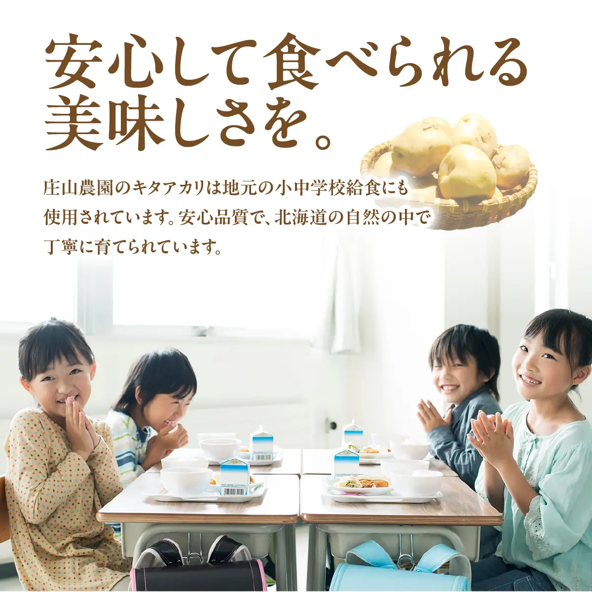【2026年7月下旬頃より順次発送】(訳あり) じゃがいも キタアカリ 10kg ASG045