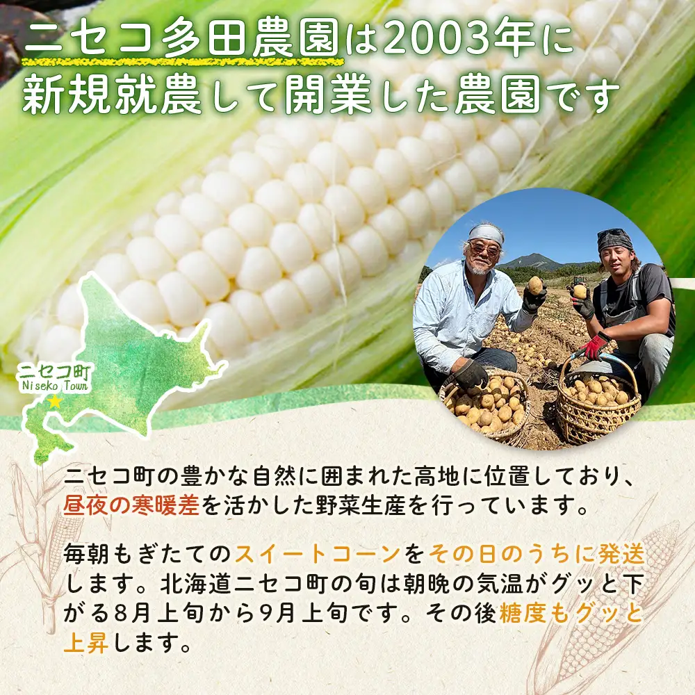 【とうもろこし数量限定先行受付！】多田農園のとうもろこし　アイスクリームコーン10本【5100601】