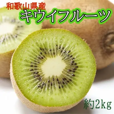 【定期便全3回】 和歌山の人気の春のフルーツをお届け！ （キウイ・ポンカン・不知火）【1月・2月・3月発送】【TM-tkb431】