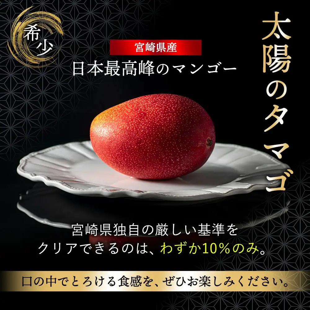 完熟マンゴー『太陽のタマゴ』２玉（約１kg）【JA綾町】_A0114-1001