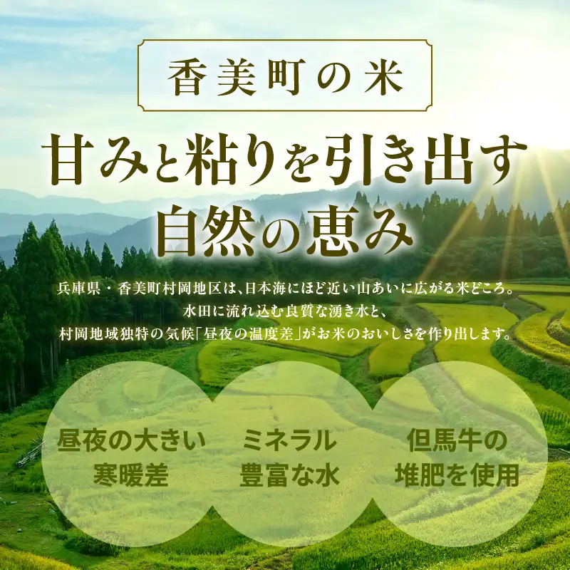 米 10kg コシヒカリ 特A 令和7年産 76-05