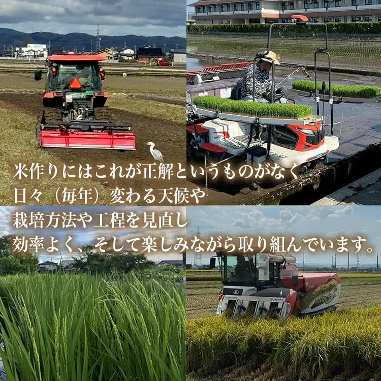 【6ヶ月定期便】【射水市】【射水の美味しいお米】R8年産 百姓一家のコシヒカリ 20kg（5kg×4）【精米】 ※2026年10月～発送
