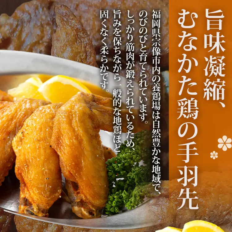 手羽先カリカリ揚げセット（醤油味・塩味）計20本（5本入×各2袋） 手羽先
