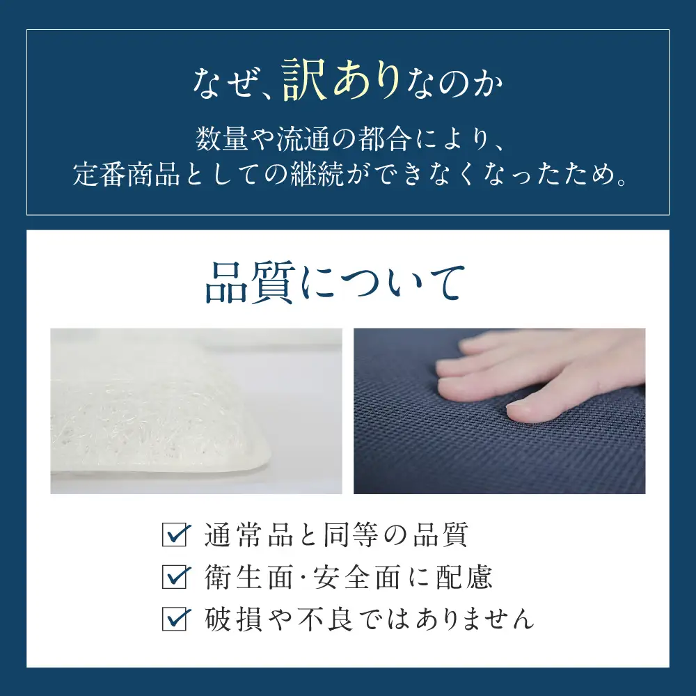 訳あり 高反発2層式 特製ブレスエアー®座クッション 近江化成工業株式会社 滋賀県 東近江市 A-E40 座布団 クッション 腰痛対策 デスクワーク 在宅勤務 体圧分散 高反発 蒸れない 洗える 椅子 事務