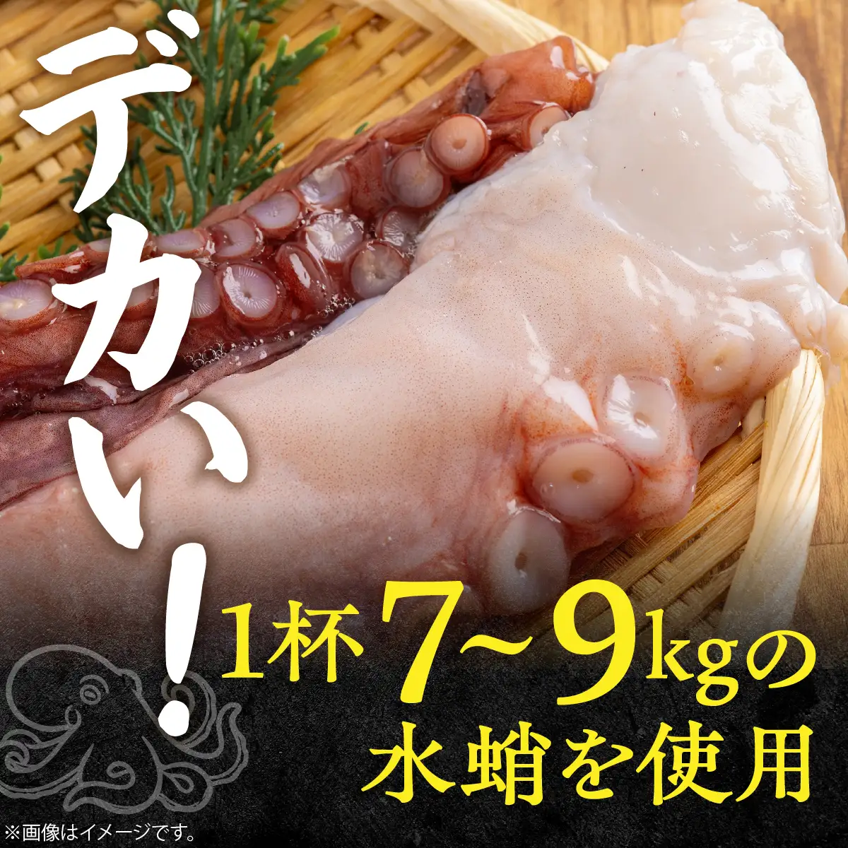 鵡川漁協発！活水生蛸足冷凍（約1kg） MKWV004