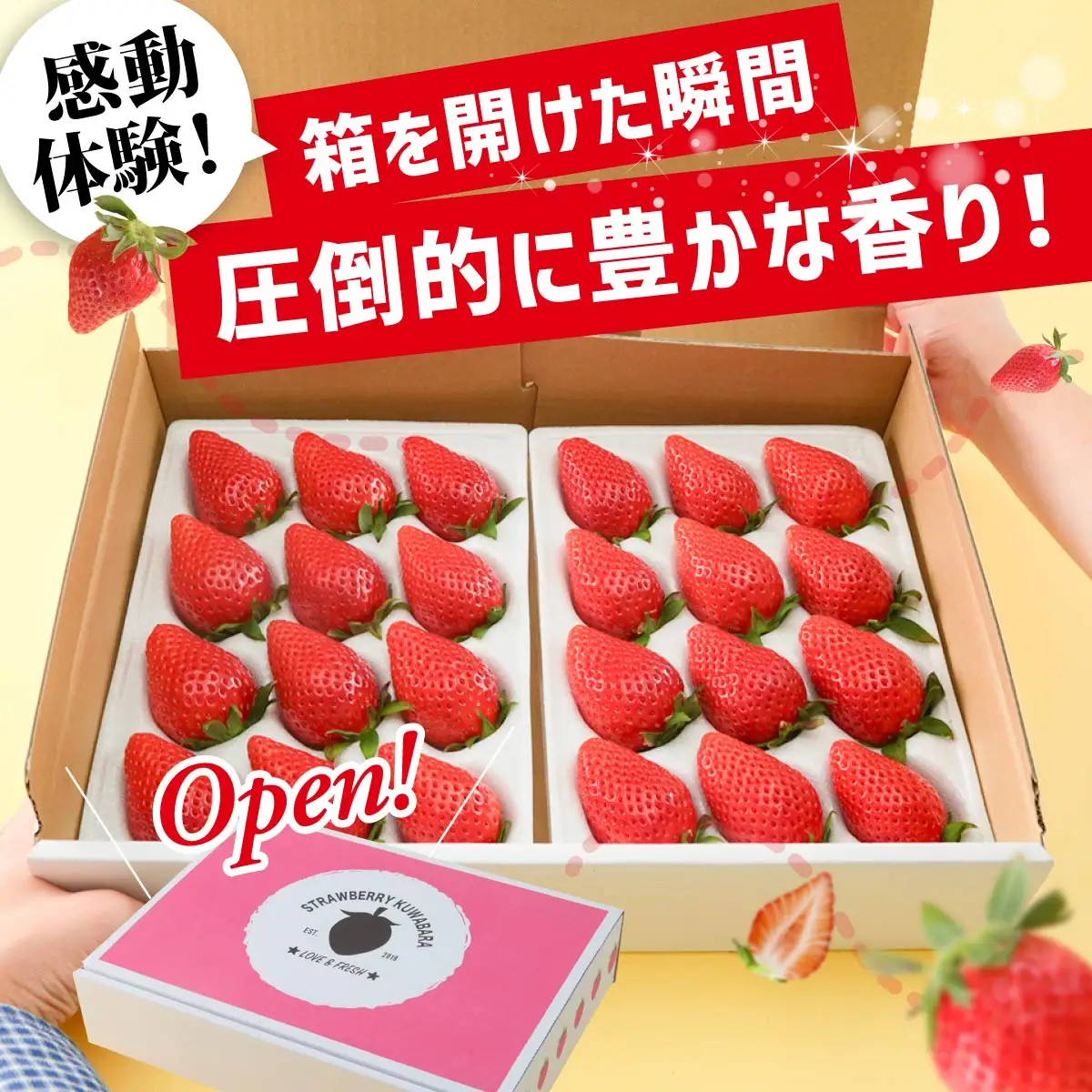 いちご やよいひめ 約800g いちご 4ヶ月定期便
