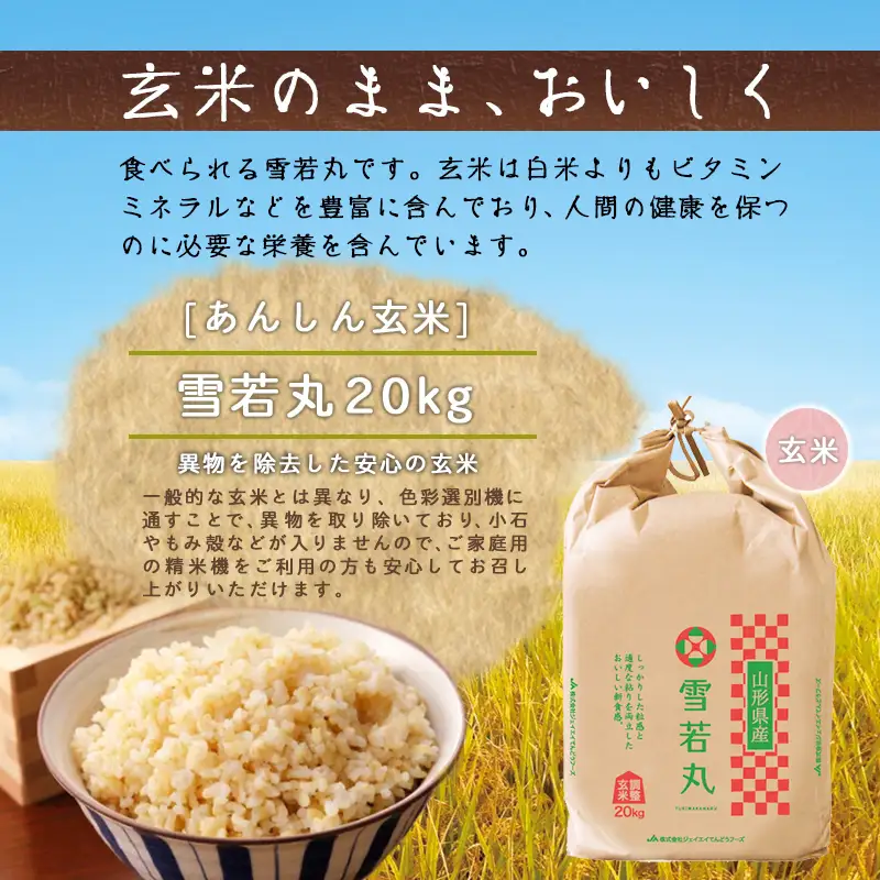 【7月中旬発送】令和7年産 【 あんしん玄米 】 雪若丸 20kg 米 玄米 山形 08-01-220-07B