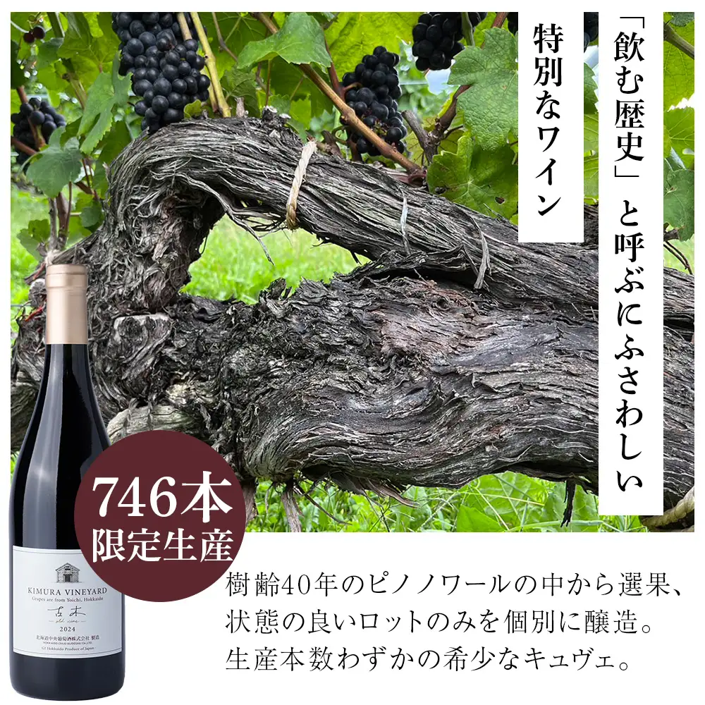 【数量限定】キムラヴィンヤード古木2024 1本