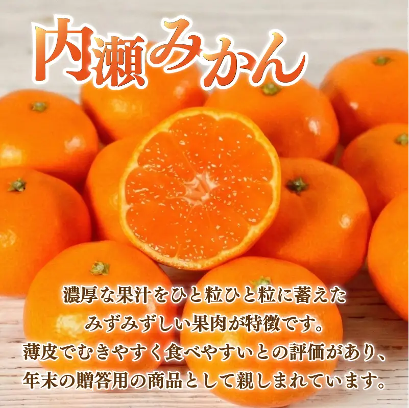 先行予約 内瀬みかん 約7.5kg アサヒ農園 / みかん 