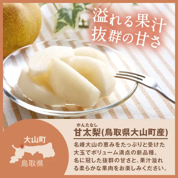 YN-04　鳥取県産和ナシ 甘太梨5kg