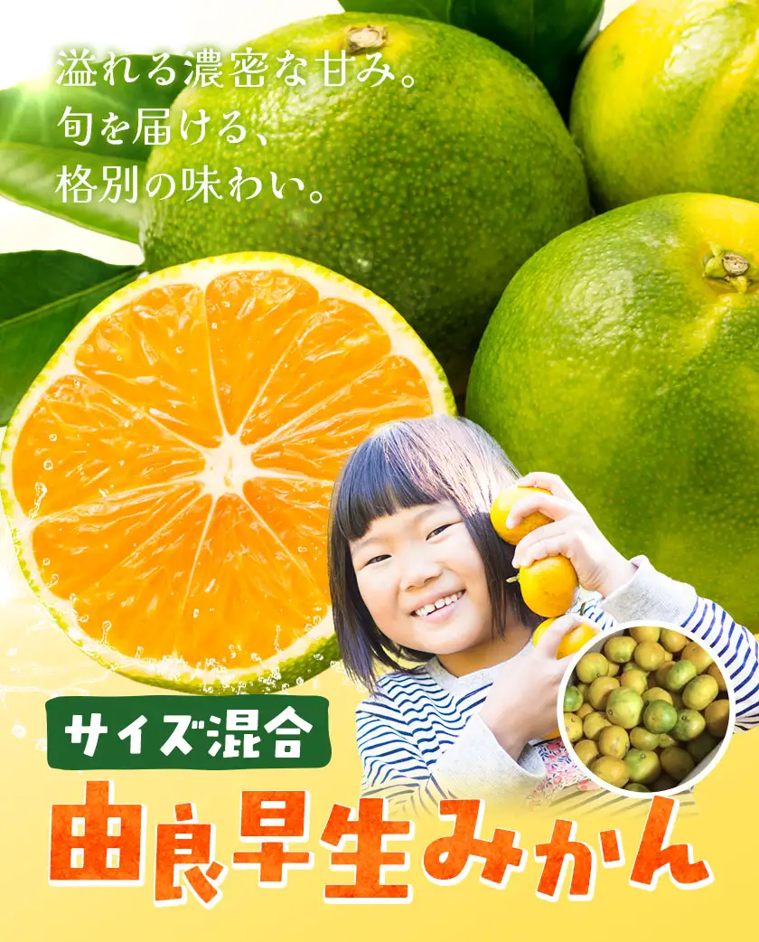 みかん 由良 早生 みかん 約5kg エイワ商店