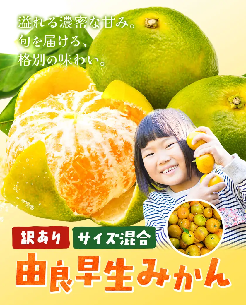 訳あり みかん 由良 早生 みかん 早生 サイズ混合 ご家庭用 約3kg エイワ商店