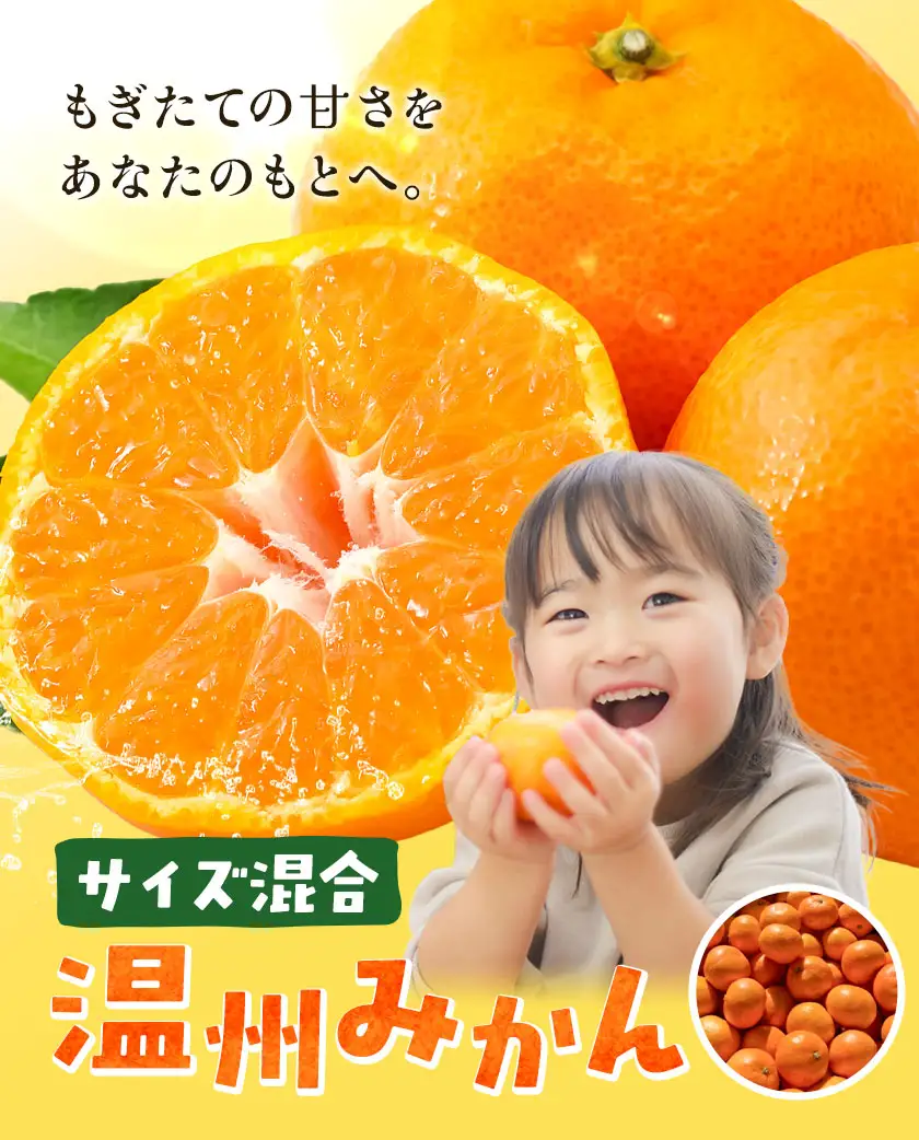 みかん 温州 みかん 約5kg エイワ商店