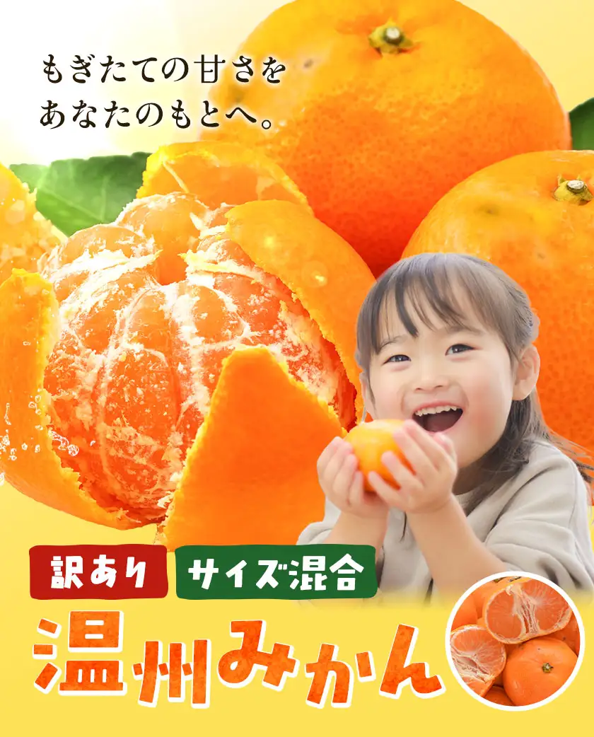 訳あり みかん 温州 みかん ご家庭用 約3kg エイワ商店 柑橘