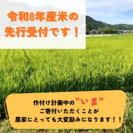 【先行受付】令和8年産米 京都府与謝野町産 丹後コシヒカリ 精米20kg　特別栽培米 京の豆っこ米【1737459】