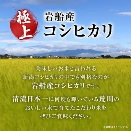 【先行予約】R8年産 [極上]安心こだわり米 岩船産コシヒカリ精米5kg(5kg×1袋)[百姓屋]【1735706】