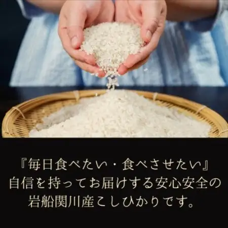 [先行予約] R8年産 岩船産こしひかり 精米5kg ふっくら美味しい [横山農産]【1737353】
