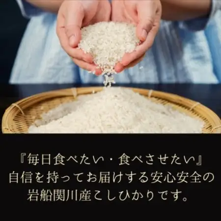 [先行予約] R8年産 岩船産こしひかり 精米6kg ふっくら美味しい [横山農産]【1737359】