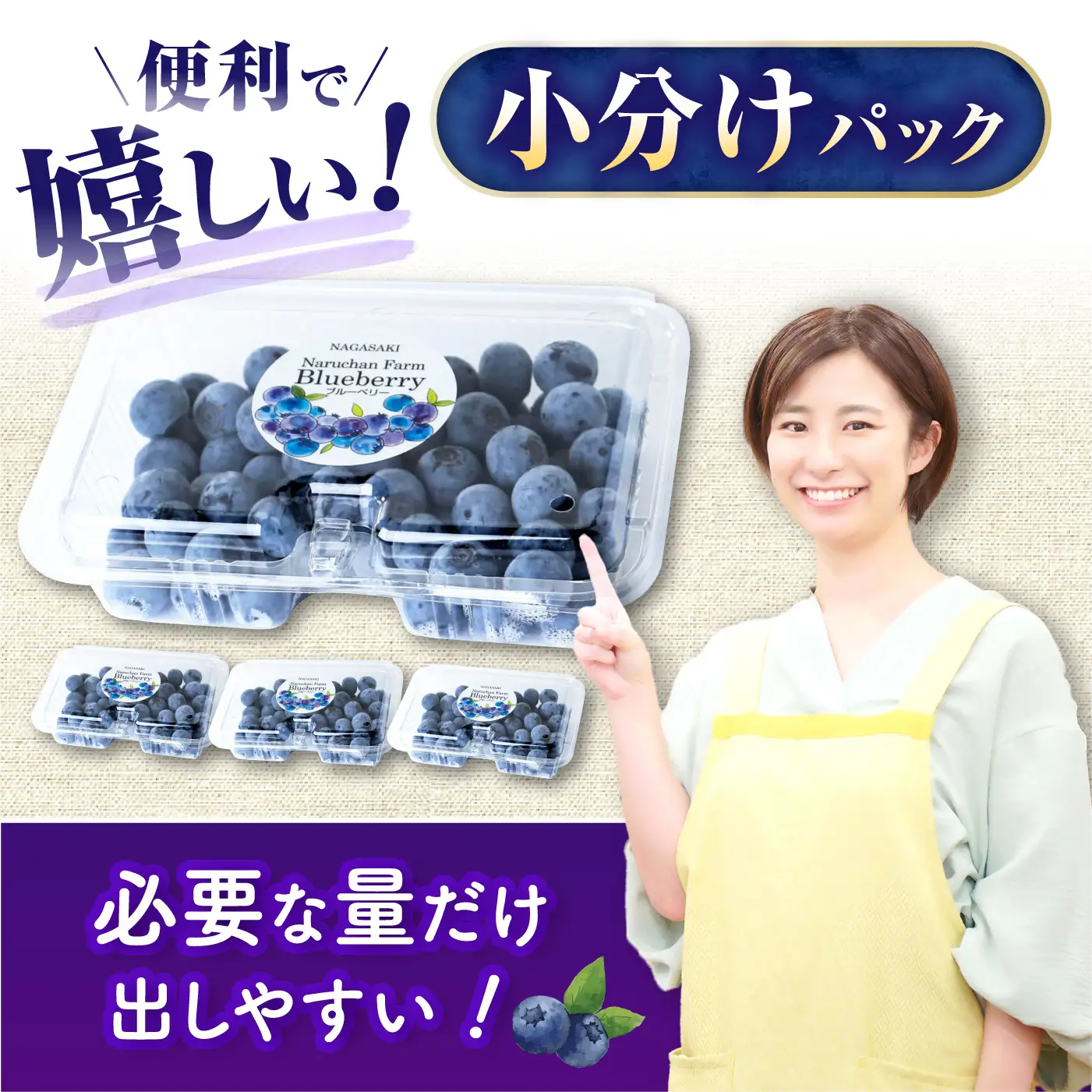 フルーツ2回定期便（ブルーベリー 約1kg・シャインマスカット 約1.5kg） 大村市 おおむら夢ファームシュシュ/ ブルーベリー ぶるーべりー ぶどう ブドウ 葡萄 フルーツ定期便 シャインマスカット[ACAA492]