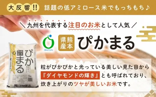 令和7年産 熊本県産 お米 5kg （ ぴかまる ） お米 米 こめ コメ 白米 白飯 飯 ご飯 おにぎり ブランド米 ブランド 国産 食味 粘り 甘み 【 2026年8月下旬まで発送予定 】