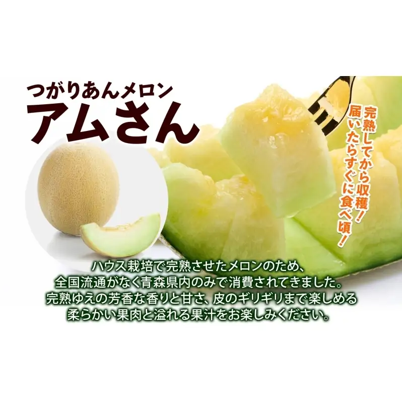 青森県産 つがりあんメロン 「アムさん」 2Lサイズ 1玉 完熟 甘い ジューシー ハウス栽培 弘果弘前中央青果 産地直送 メロン フルーツ 果物 ギフト 贈答 青森県 鶴田町