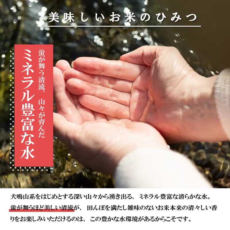宮若米(ブレンド米) 精米 20kg [M994] 