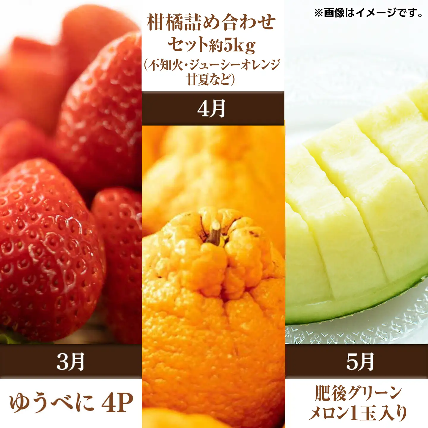 【先行予約】【全6回定期便】 プロが選ぶ！ 旬 の 果物 6ヶ月 定期便【くまふる】[ZBG085]