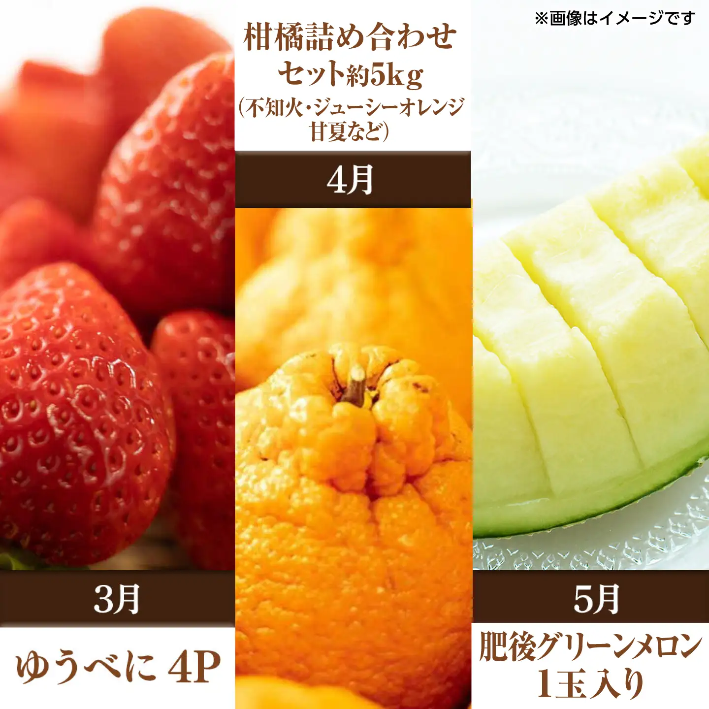 【先行予約】【全10回定期便】 プロが選ぶ！ 旬 の 果物 10ヶ月 定期便【くまふる】[ZBG086]