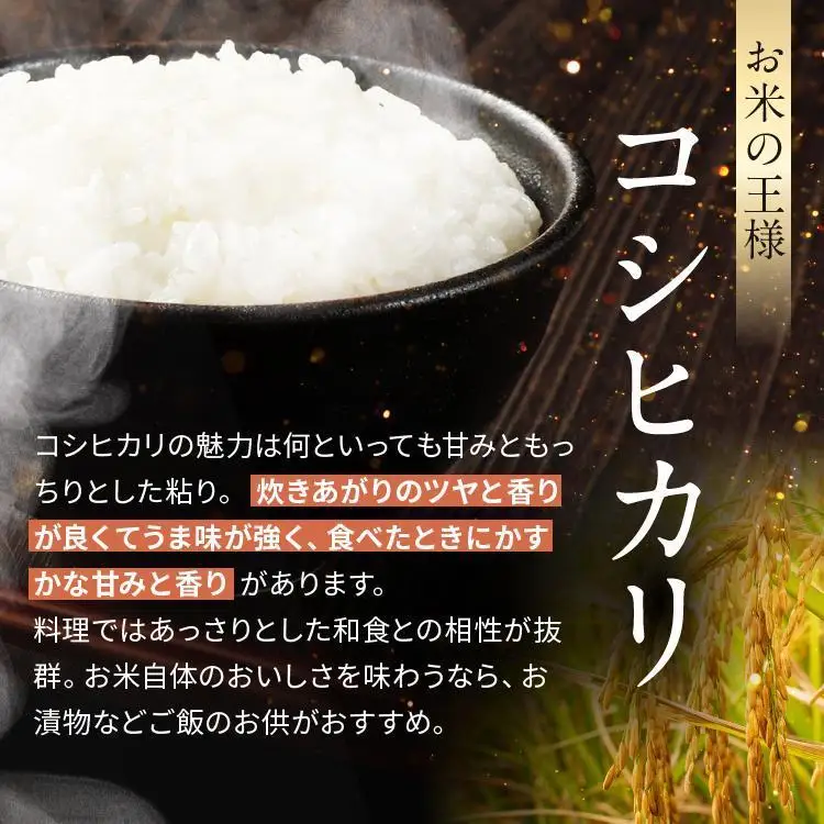 【令和8年産 新米】 【定期便6回】栃木県産 お米 こしひかり　（白米） 2kg 【2026年秋 先行予約】 |  栃木県 矢板市 【栃木県共通返礼品】