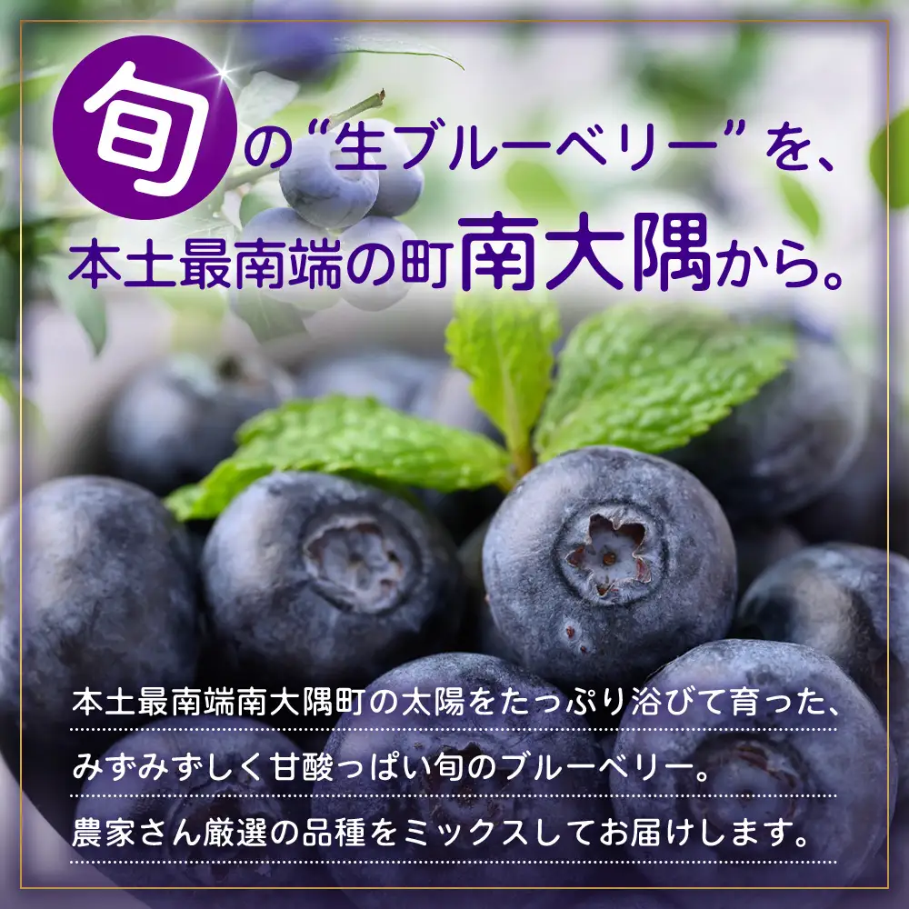 【期間限定】南大隅産 (生)ブルーベリー 品種ミックス詰め合わせ ≪100g×5P≫ BO-1 ｜ 鹿児島県 南大隅町 旬 産地直送 果物 ブルーベリー フルーツ くだもの 新鮮 農園 冷蔵 本土最南端