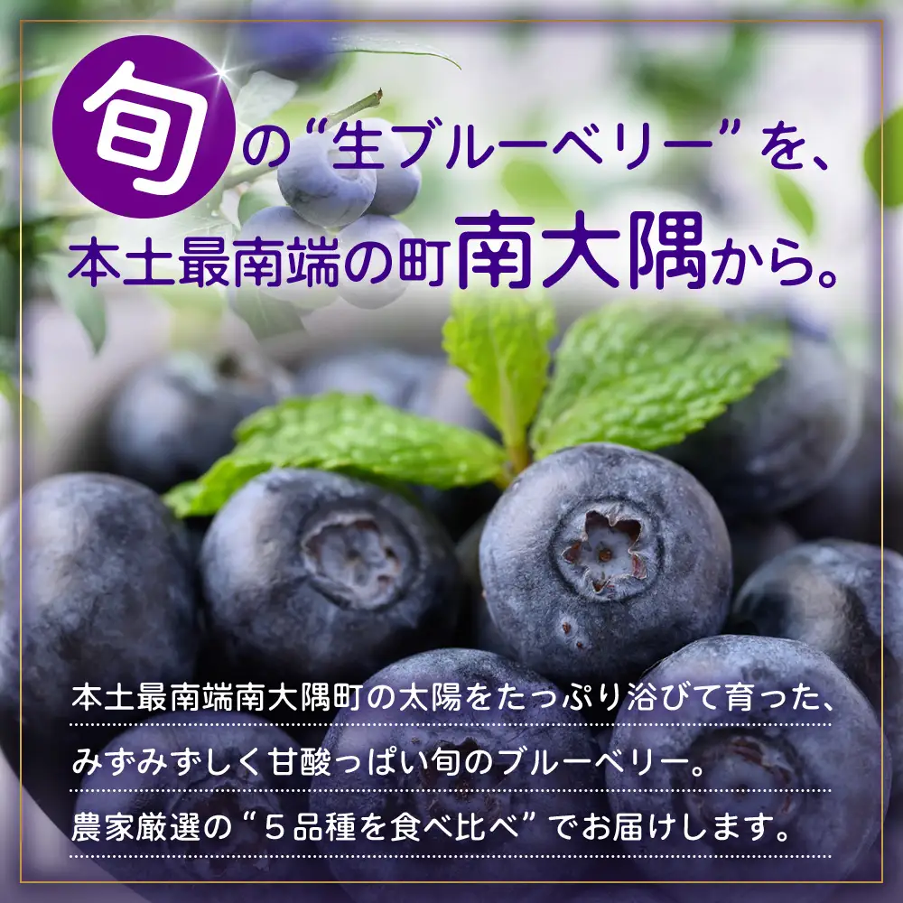 【期間限定】南大隅産 (生) ブルーベリー 食べ比べセット (5品種を1パックずつ) 100g×5P BO-2｜鹿児島県 南大隅町 旬 産地直送 果物 フルーツ くだもの 新鮮 農園 冷蔵 本土最南端