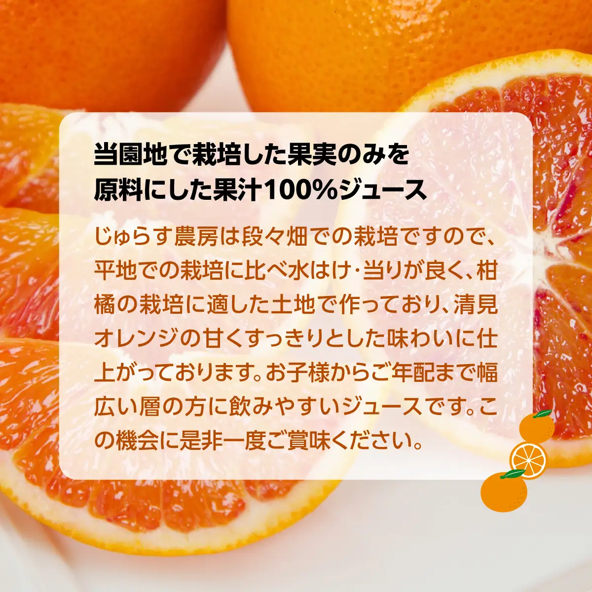 じゅらす農房の清見オレンジジュース12本セット【H32-13】【1296473】 YWTH012