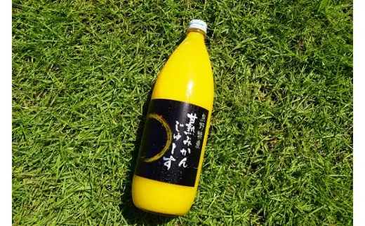 みかんジュース 麗紅 甘熟 みかんじゅーす 1L×2本 仲森農園【nkmr0026】