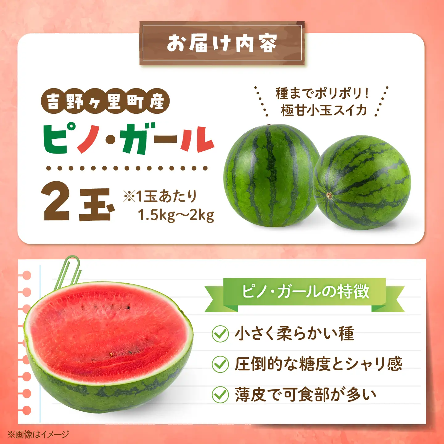 【先行予約・数量限定】スイカ ピノガール 2玉 吉野ヶ里町 / MEISHO FARM[FDZ009]