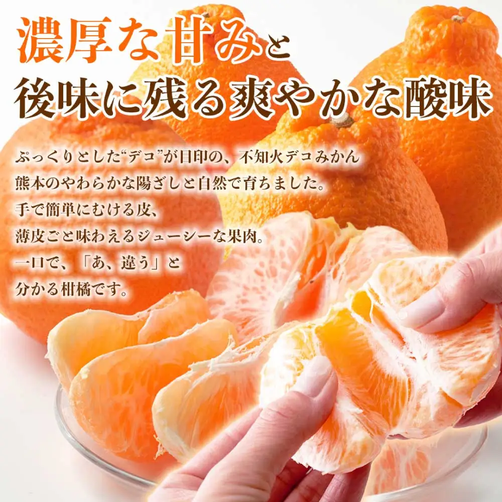 先行予約 不知火 デコみかん   約8㎏（18～37玉） 【2027年2月上旬～2027年4月中旬配送予定】