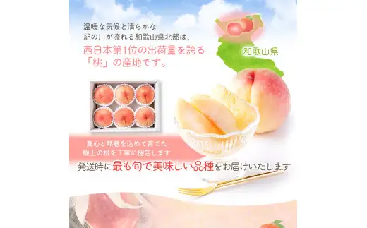 【先行予約受付】和歌山県産の美味しい 桃 約1.8kg(5～8玉) /もも 果物 フルーツ 和歌山県 ※6月中旬頃～8月上旬頃順次発送予定 ※離島への配送不可【mat501-r-1d8】